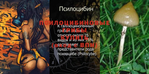 экстази Няндома