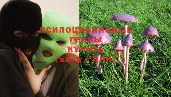 экстази Няндома