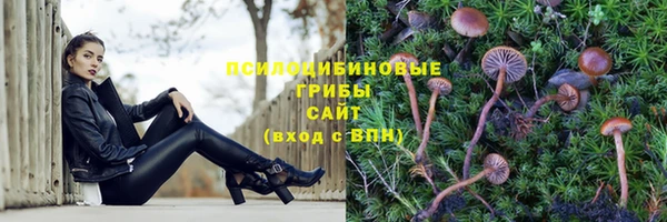 герыч Нязепетровск