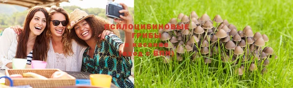 экстази Няндома