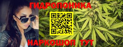 твердый Камышлов