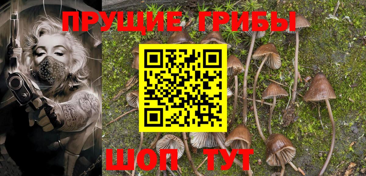 где купить наркоту  Галлюциногенные грибы Psilocybe  Вход с VPN  Копейск  Галлюциногенные грибы GOLDEN TEACHER 