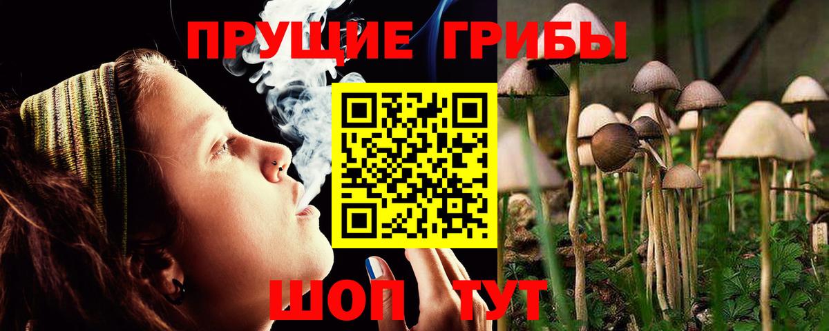 Псилоцибиновые грибы GOLDEN TEACHER Копейск