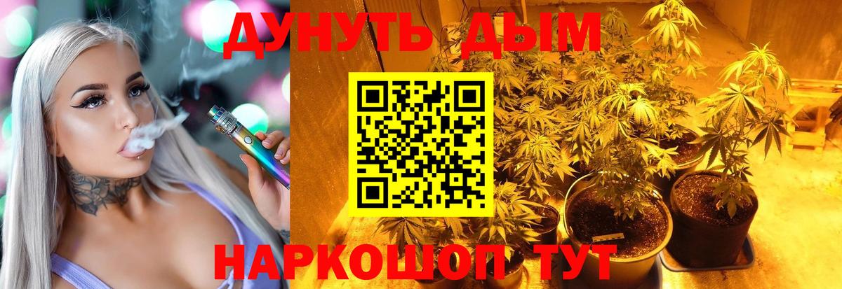 Канабис сатива Копейск
